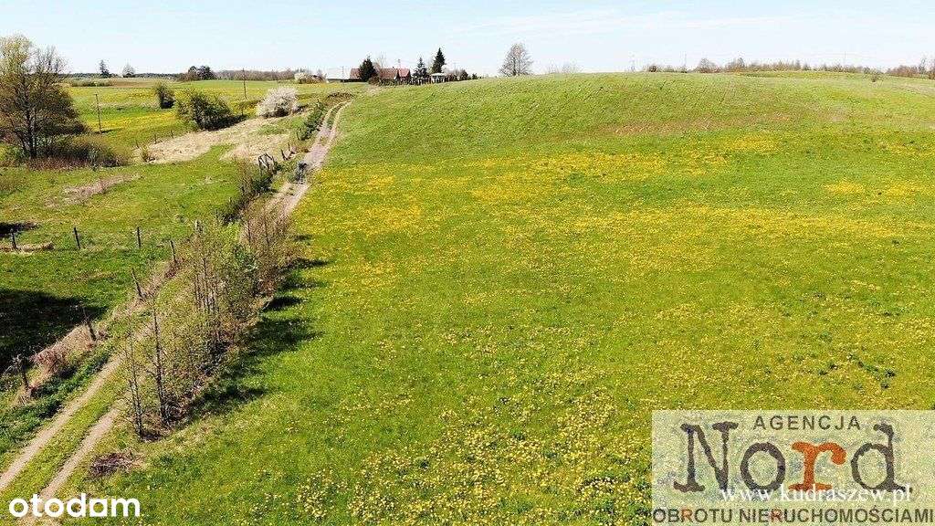 Rutki Nowe, Działka Siedliskowa, Budowlana - Pełny obrazek: 5/7