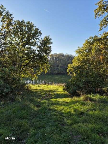 Teren de vanzare Branesti - Imagine principală: 5/7