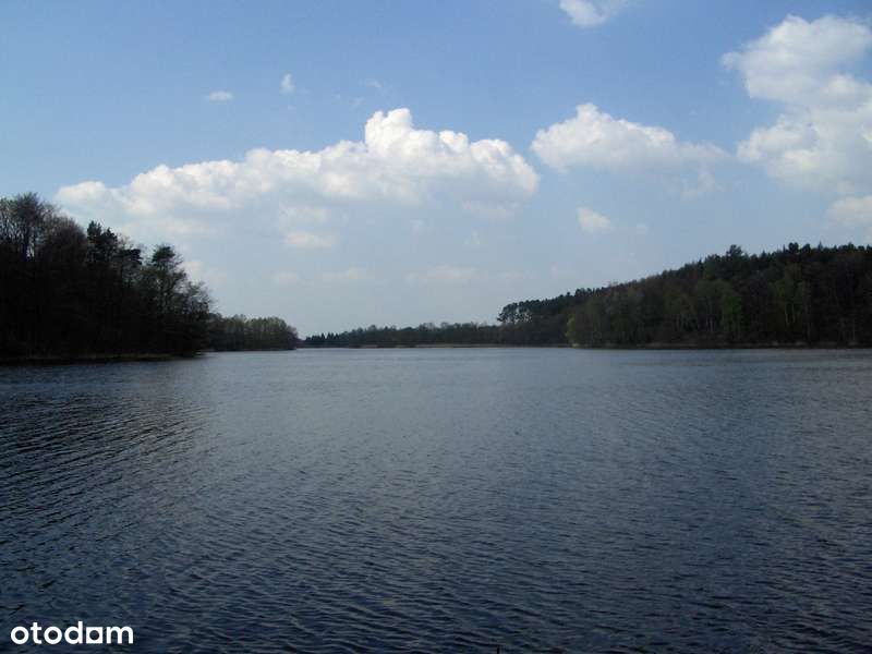 duża działka nad jeziorem, blisko Poznania