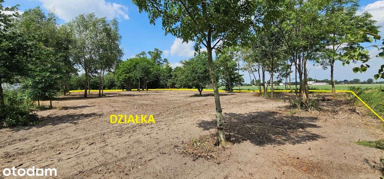 Działka, 2 500 m², Wysoka Wielka - Pełny obrazek: 5/6