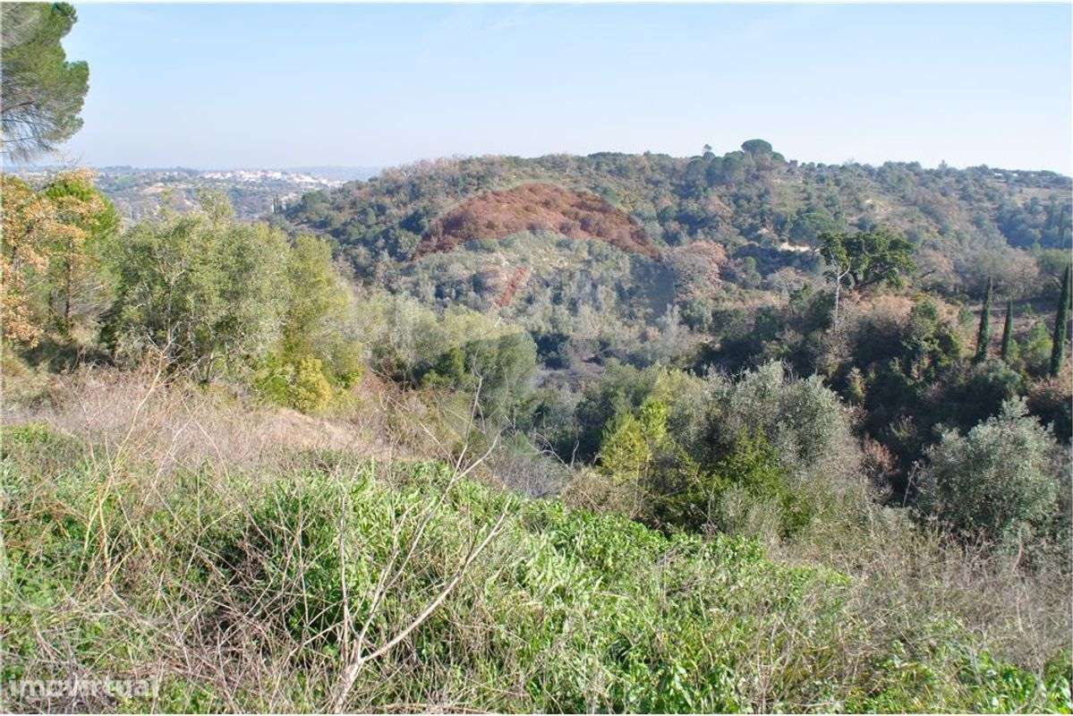 Terreno  para venda - Grande imagem: 2/7