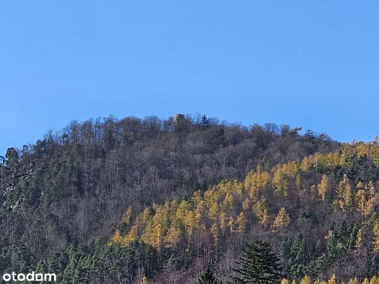 Atrakcyjna działka budowlana w Podgórzynie - Pełny obrazek: 2/6