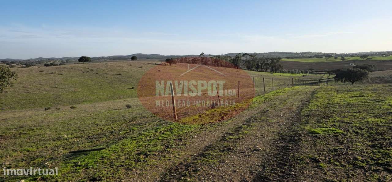 Herdade com 36 ha em Santo António do Baldio-5