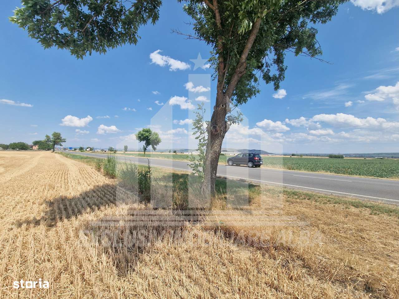 Teren agricol la sosea, pretabil si ptr constructii industriale - Imagine principală: 3/9