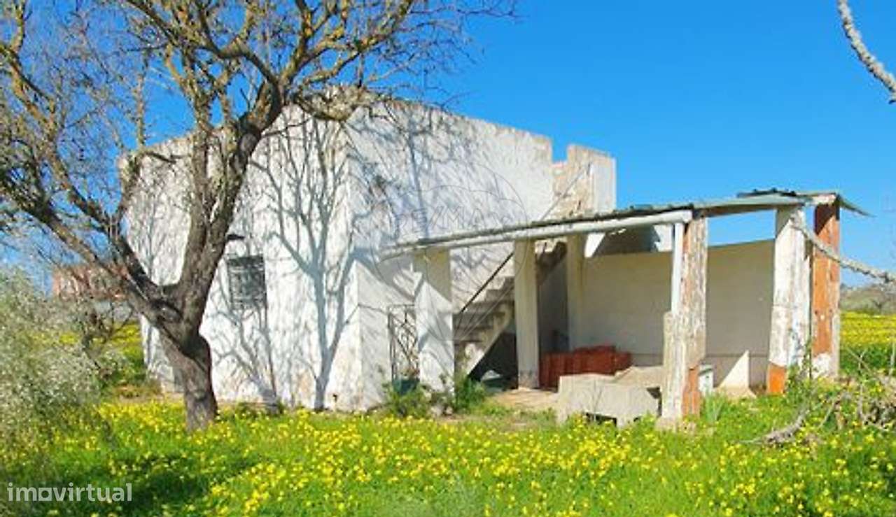 Terreno  para venda - Grande imagem: 3/29