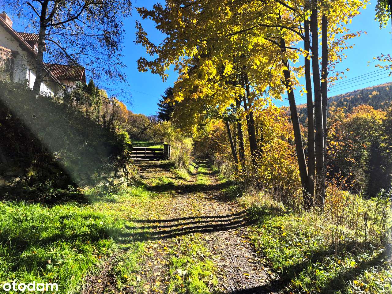 Widokowa działka z własnym lasem! - pod dom, domek weekendowy, domki-19