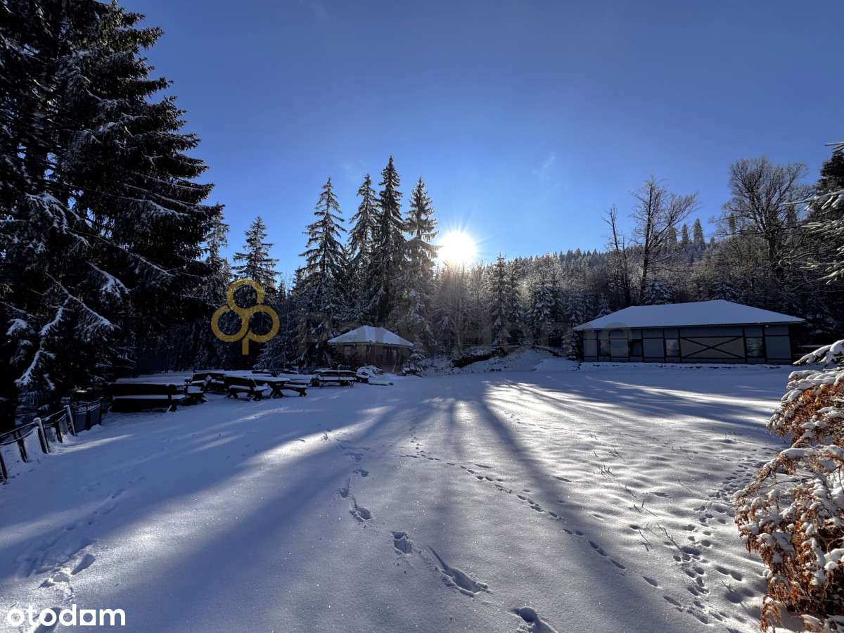 Nieruchomość inwestycyjna w sercu Zieleńca - Pełny obrazek: 5/20