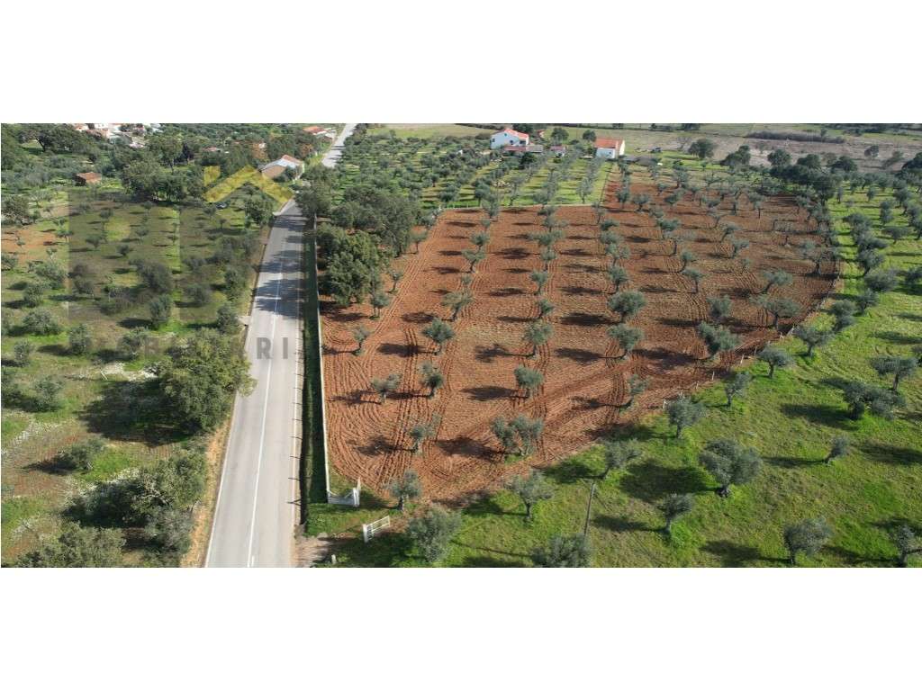 Terreno rústico com 1.34ha em Freixial do Campo - Grande imagem: 2/4