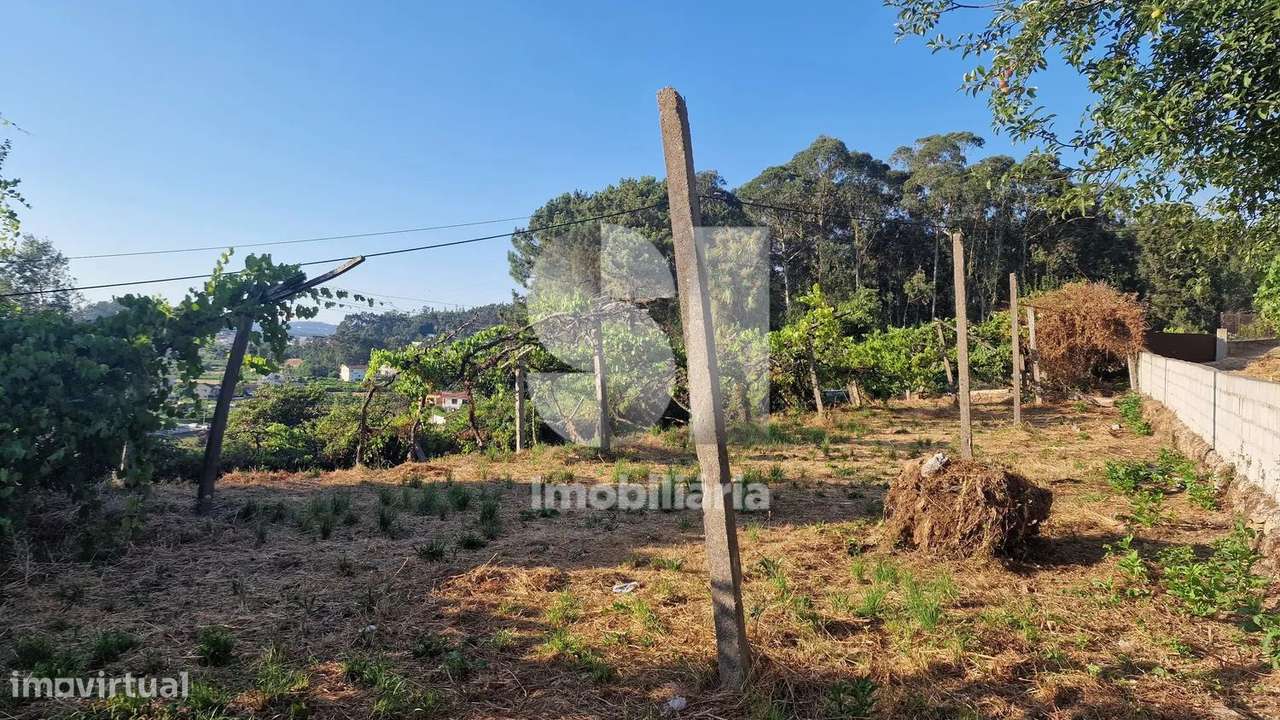 Terreno - potencial de investimento - Astromil - Paredes-13