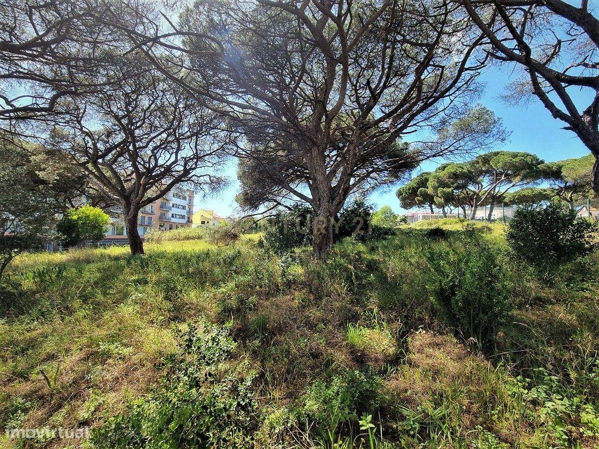 Terreno para Loteamento - prédios e moradias  30 a 40 fogos - Lazarim - Grande imagem: 5/9