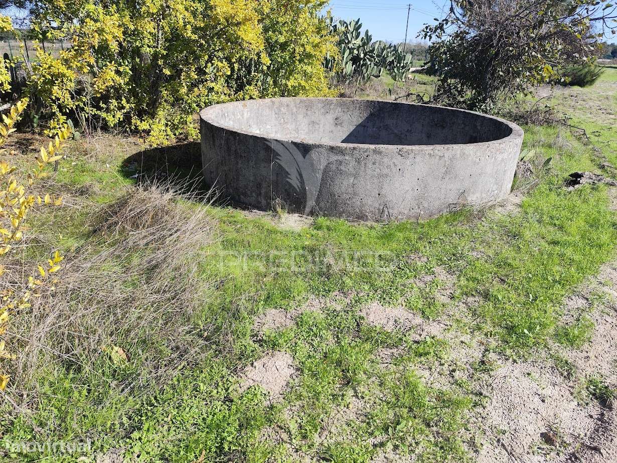 Terreno Rustico na Aldeia do Futuro - Grande imagem: 4/12