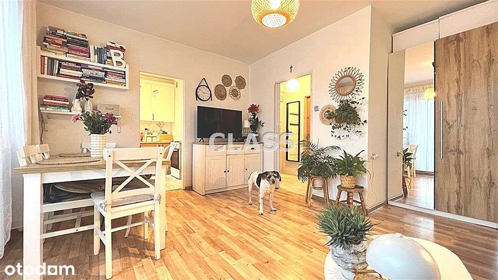 Klasyczna kawalerka z wnęką na Wyżynach - Pełny obrazek: 5/13