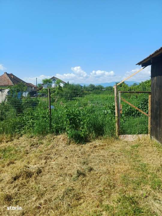 Casa cu 4 camere  si 625 mp teren in Avrig-13