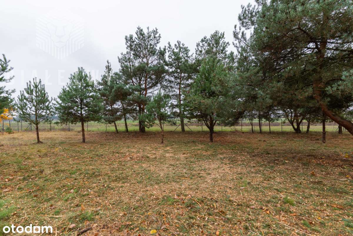 Jachranka - działka pod dom jednorodzinny - Pełny obrazek: 5/19