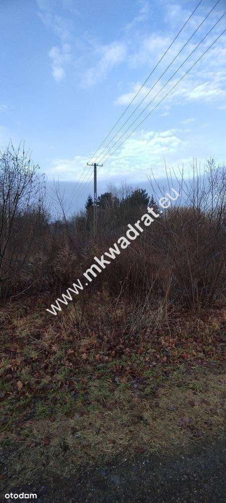 ⭐⭐⭐⭐ Działka Budowlana 4851 M Budy Grzybek ⭐⭐⭐⭐-8