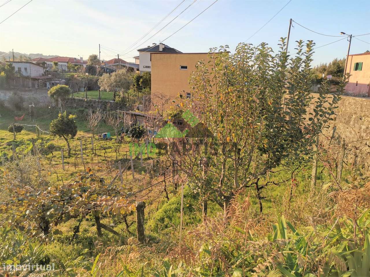 Terreno p/construção em Pedorido-5