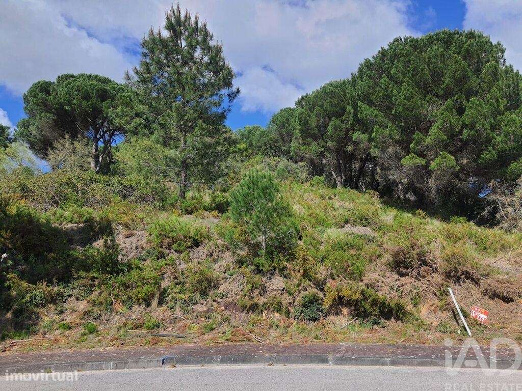 Terreno em Nossa Senhora da Piedade de 420,00 m2 - Grande imagem: 5/30