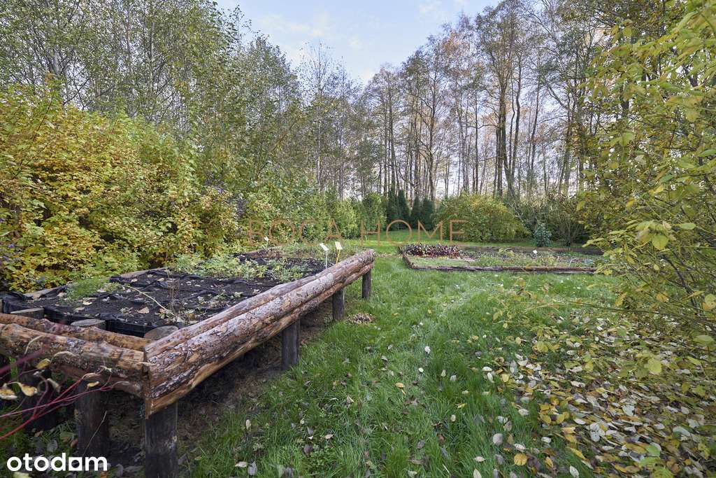 Obiekt na Mazurach z linią brzegową jeziora Roś-13