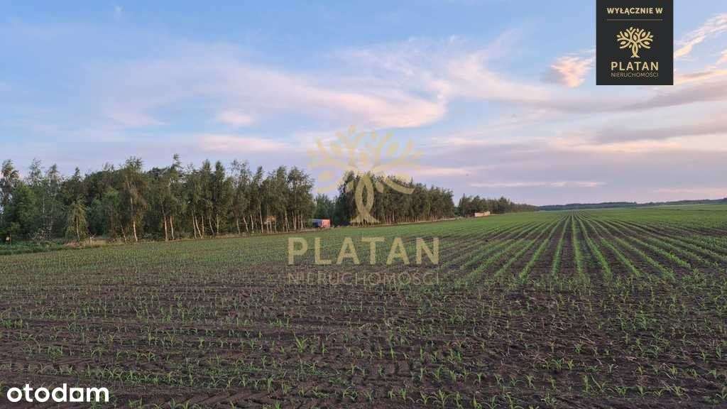 Radzewo, działki z wydanym pozwoleniem na budowę!-9