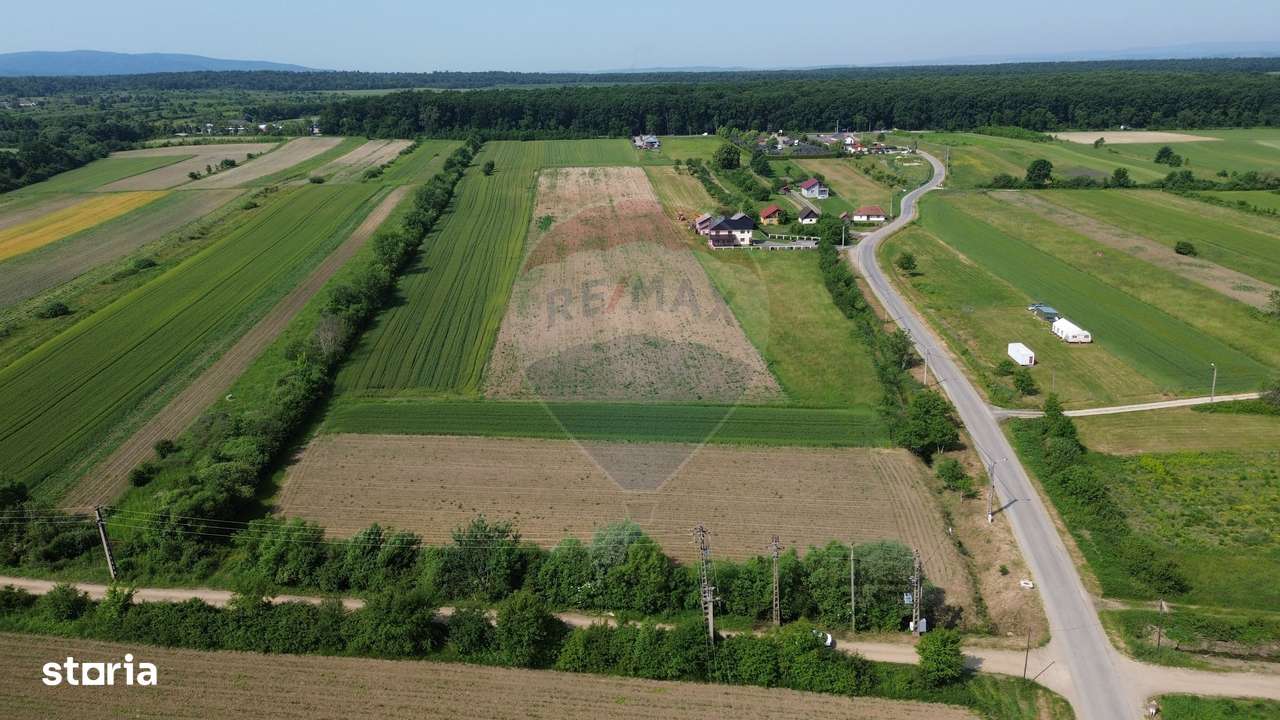 Teren Intravilan de Vanzare - Parcelabil - Imagine principală: 4/4