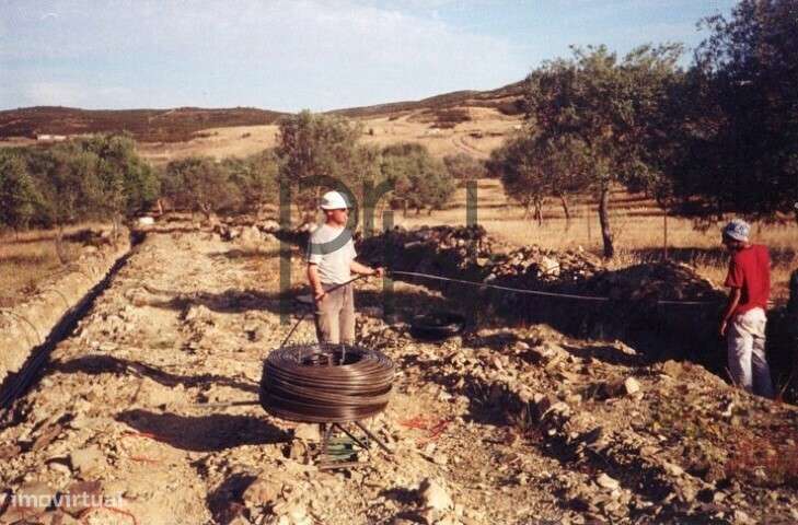 Herdade Montinho do Pascoal-6