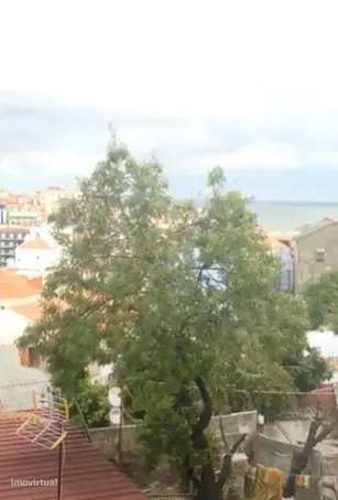 Apartamento T2 no Beco da Veronica - São Vicente-5