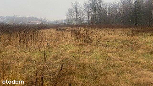 Sprzedam nieruchomość inwestycyjną - Pełny obrazek: 5/6