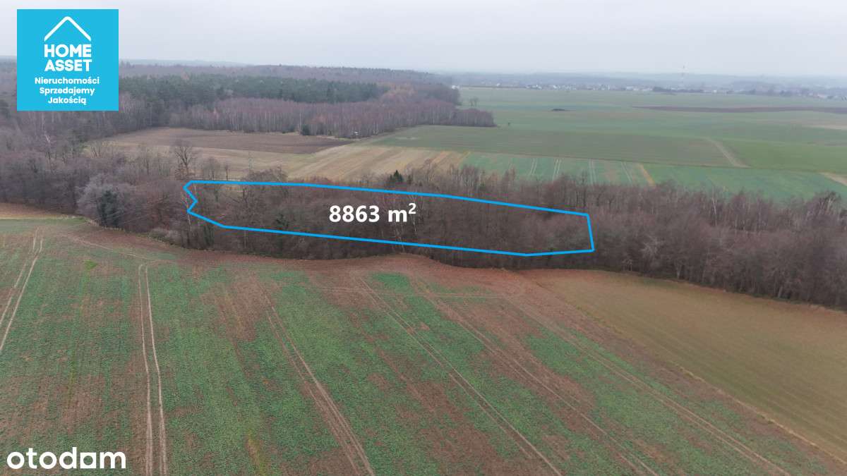 Działka z WZ w otoczeniu lasu - Pełny obrazek: 4/11