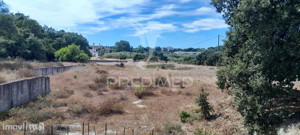 Terreno Rustico - Grande imagem: 4/4