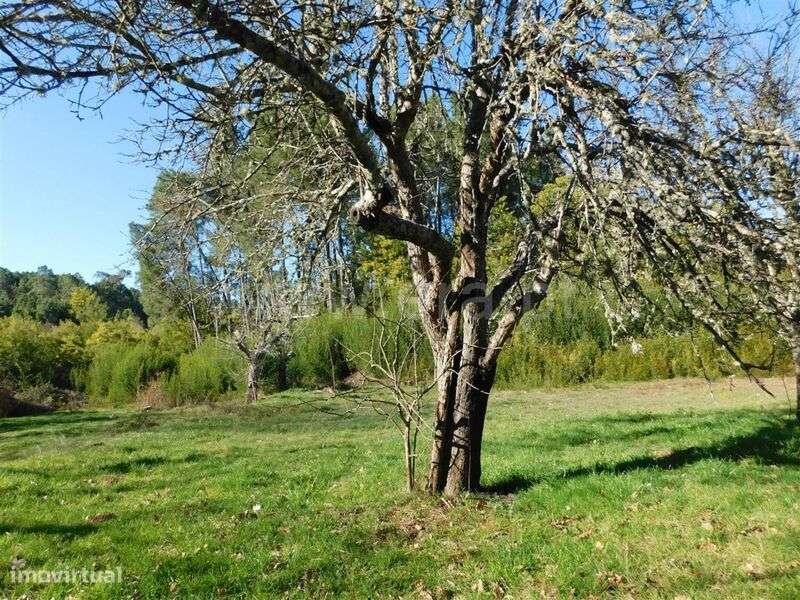 Terreno Rústico / Fundão, Alcaide - Grande imagem: 5/11