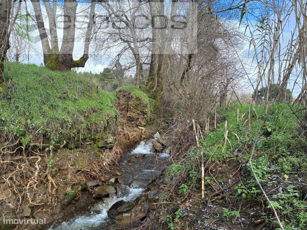 Magnifica Quinta a confinar com Rio Zêzere-7