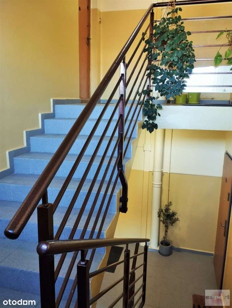 Mieszkanie, 62,05 m², Łódź-9