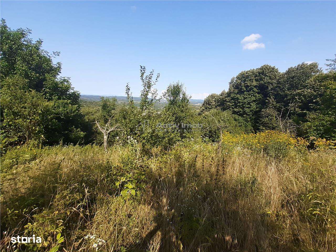 Resita Teren 5 500 Mp. Dr. Lupacului Peco Dusan - Imagine principală: 2/7