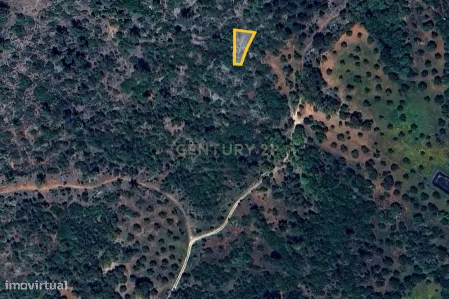 Terreno Rústico – Serra de Aire - Grande imagem: 3/6