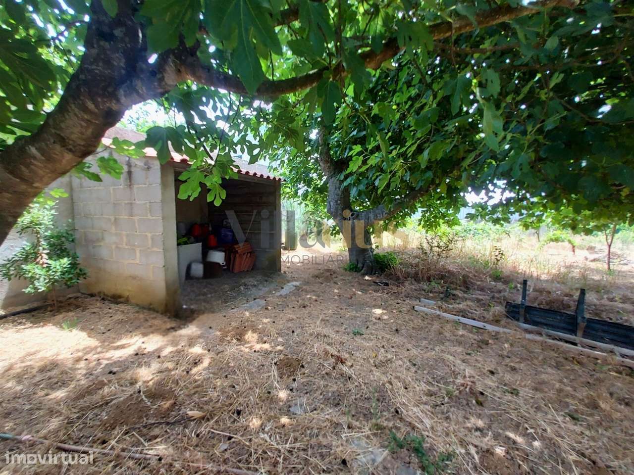 Moradia T2 com Piscina, Pomar e Garagens Duplas a 5 Minutos de Tomar |-15