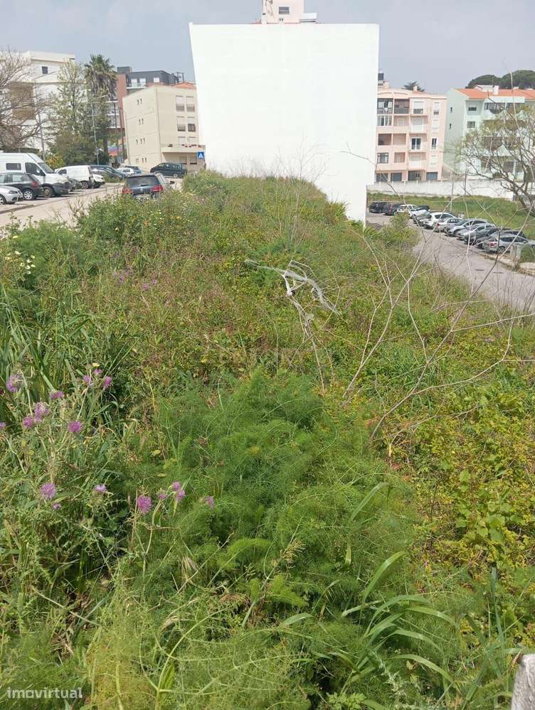 Lote de Terreno para Construção-2