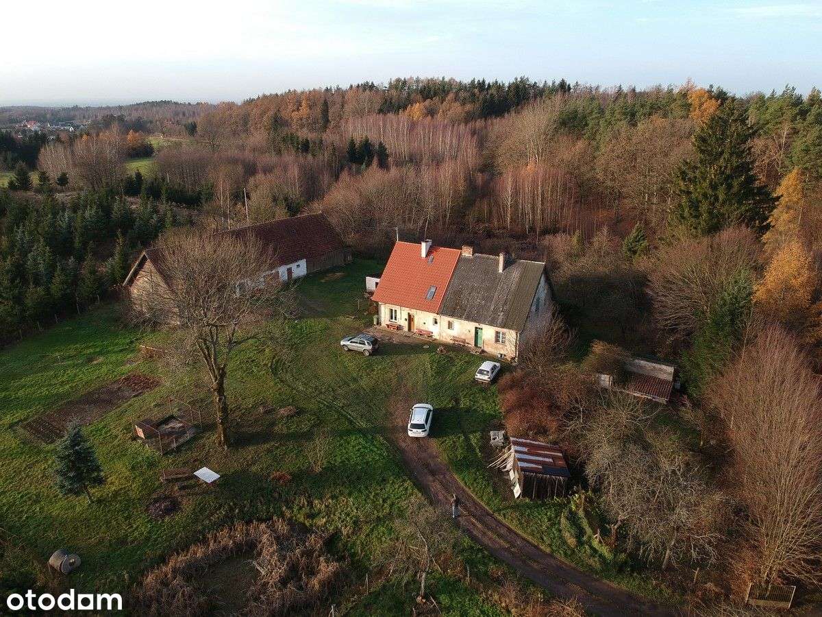 Dom na sprzedaż Jagodnik gmina Milejewo - Pełny obrazek: 4/20