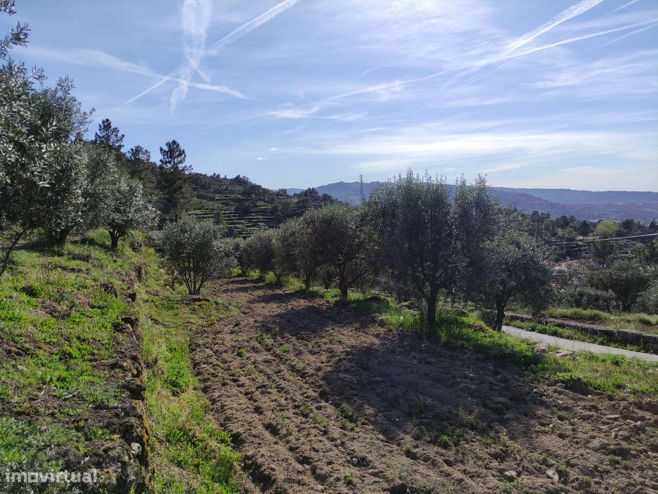 Quintinha  Venda em Sobral da Serra,Guarda - Grande imagem: 5/9