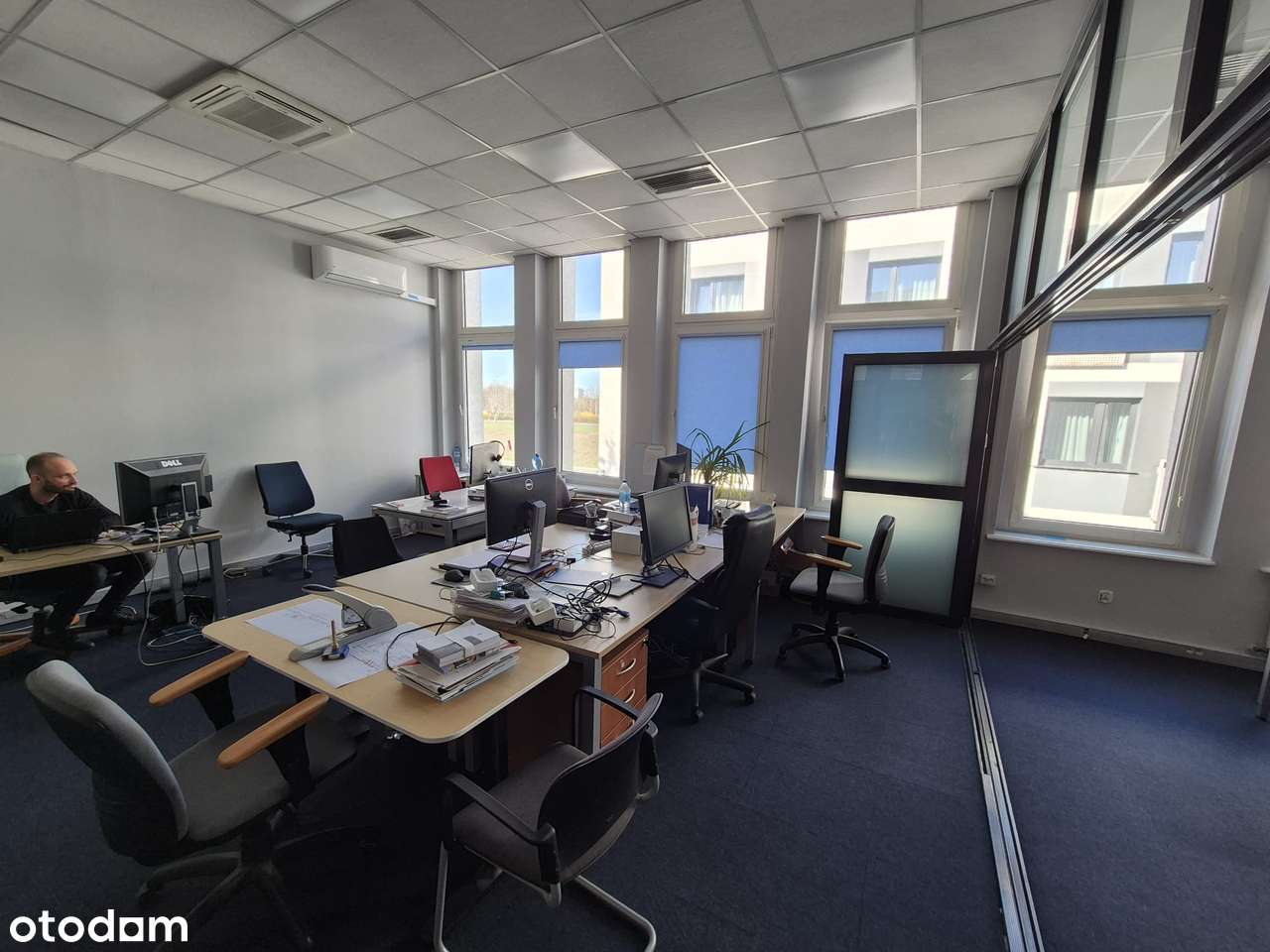 Lokal użytkowy, 65 m², Poznań-7