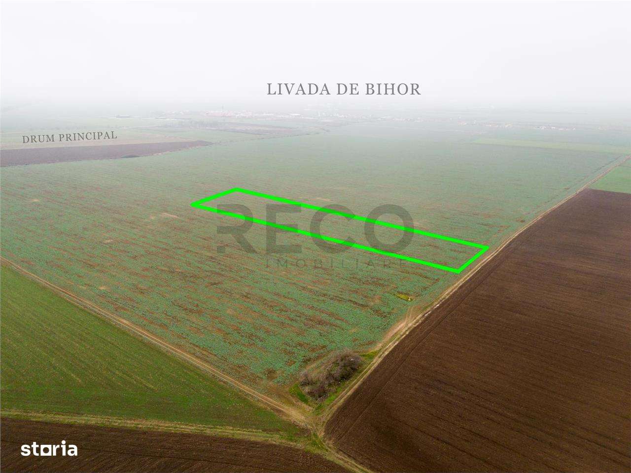 RECO Teren extravilan 5800 mp Livada de Bihor - Imagine principală: 5/11