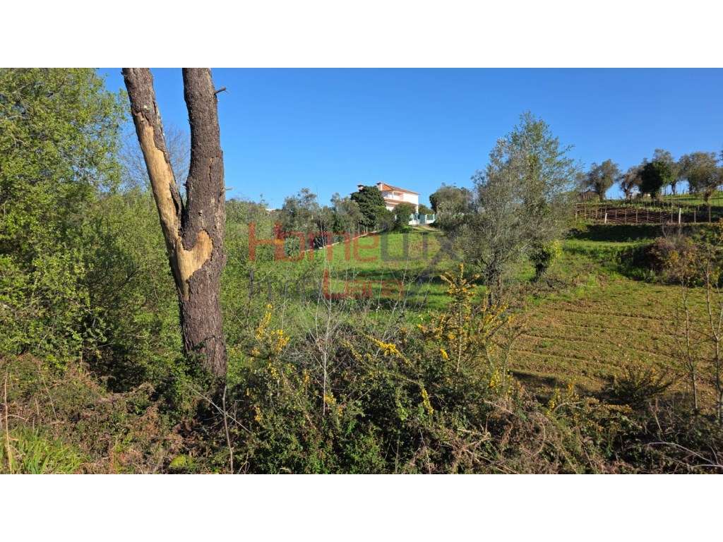 Terreno em Águeda p/ construção de Moradia - Grande imagem: 5/10