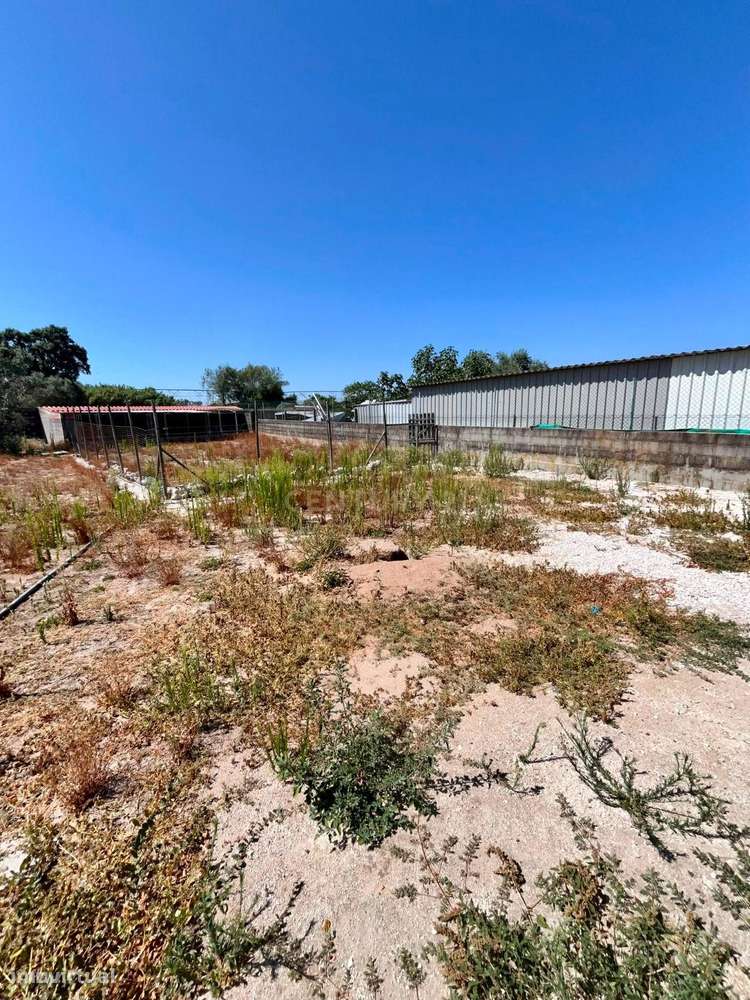 Moradia T2+2 Térrea com Piscina, Anexo de 50 m² e Lote de 1.690 m²-42