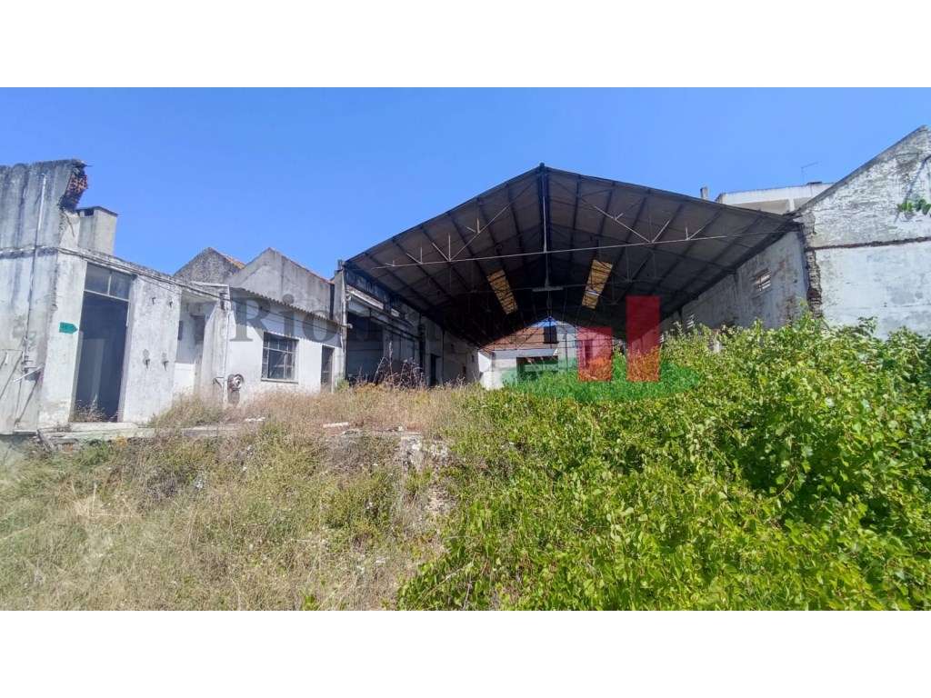 Lote de Terreno em Alpiarça***RIOMAGIC*** - Grande imagem: 3/15