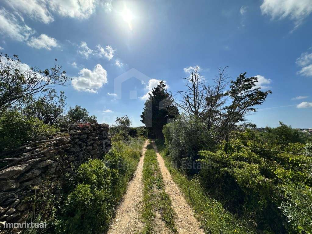 Vende Terreno - Mafra 5 km e Ericeira 10 km, A Casa das Casas - Grande imagem: 3/14