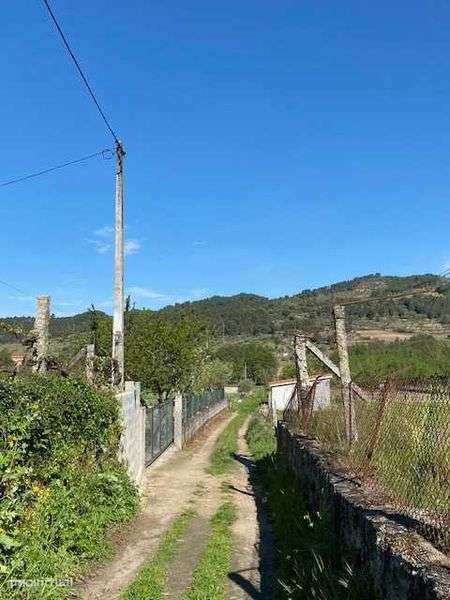 Terreno Rustico com mini casa - Grande imagem: 4/8