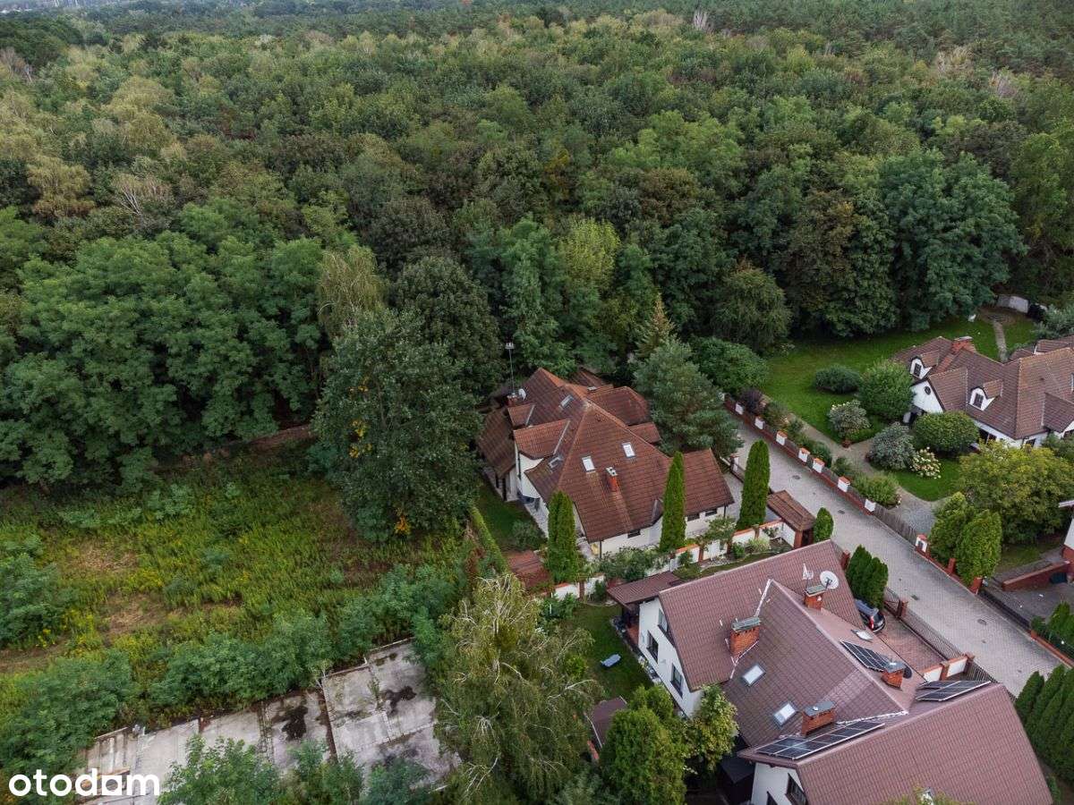 Dąbrowa, dom z basenem, bezpośrednio los,-19