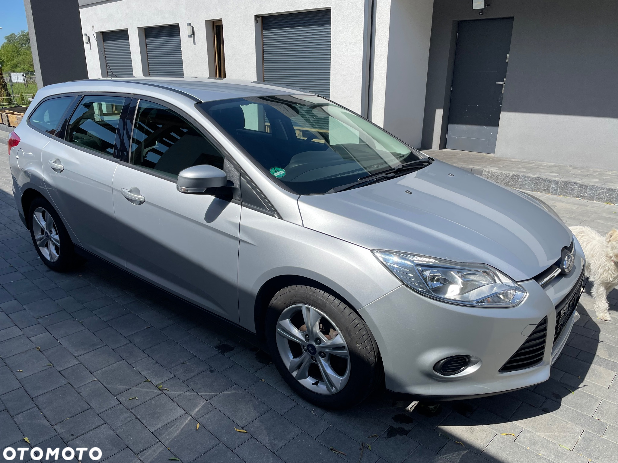 Ford Focus - 5