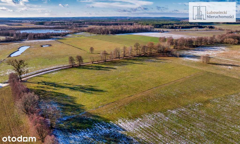 Kompleks działek w Wyżegach - Pełny obrazek: 4/14