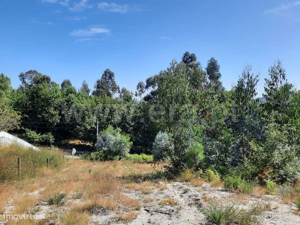 Terreno de construção com 1.800 m2 em Travassós - Grande imagem: 3/6