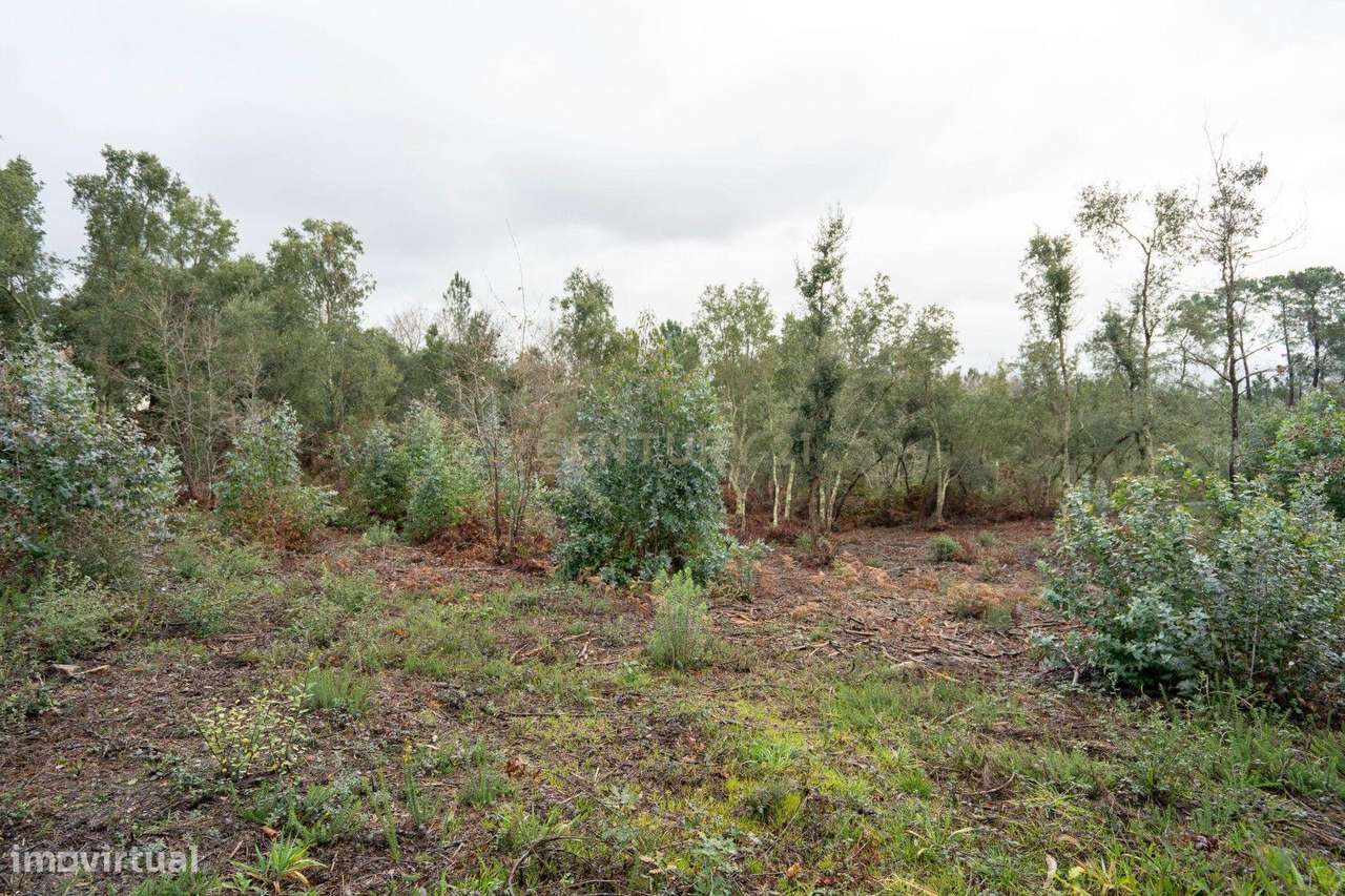 Terreno de 6.600m2 com Potencial de Construção - Vila Nova de Poiares - Grande imagem: 3/13